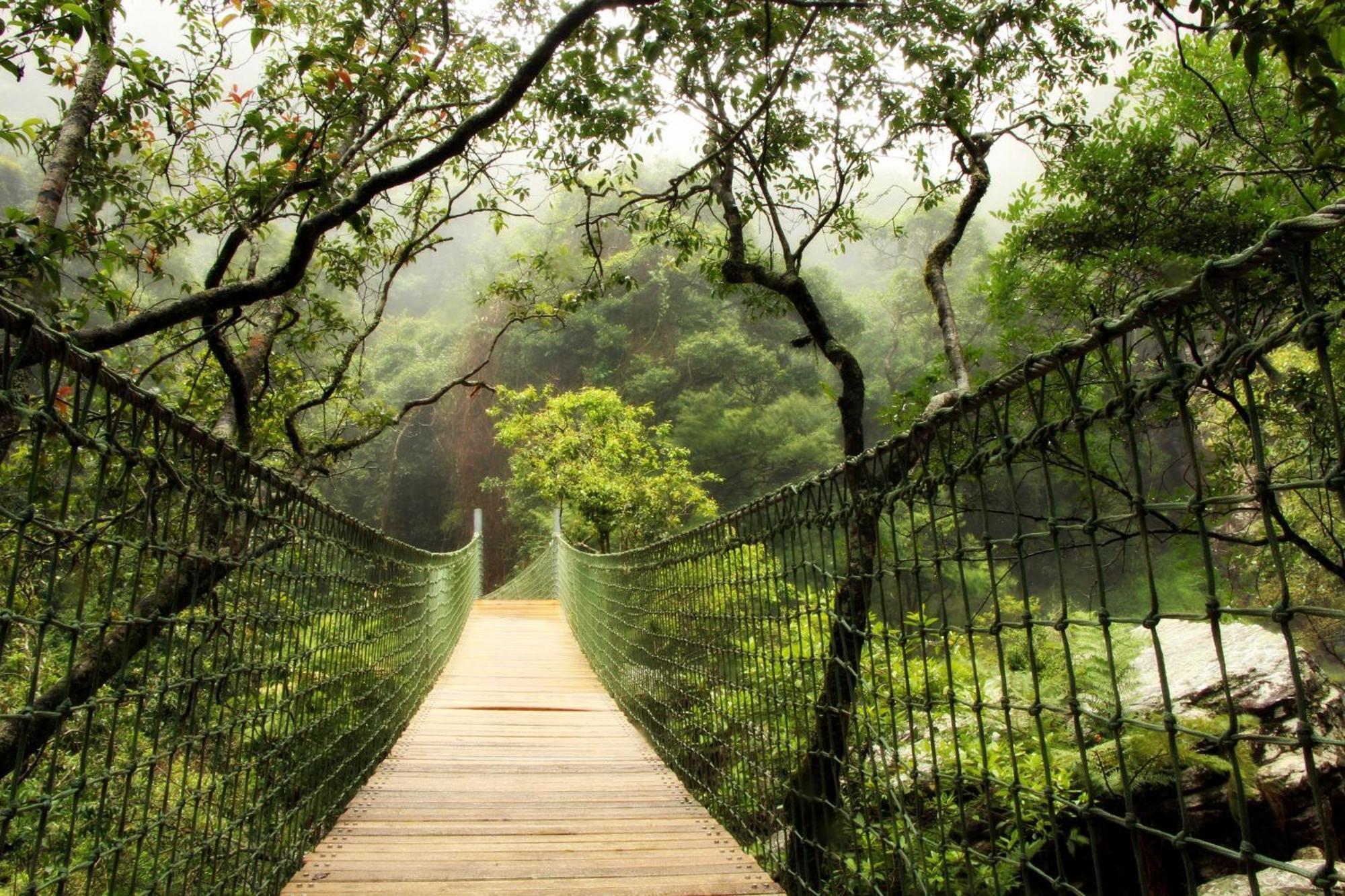 Mogodi Lodge Graskop Eksteriør bilde